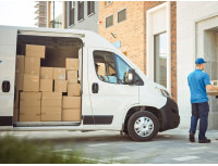 Land Rover Freelander I 98-06 Motor strešnega okna